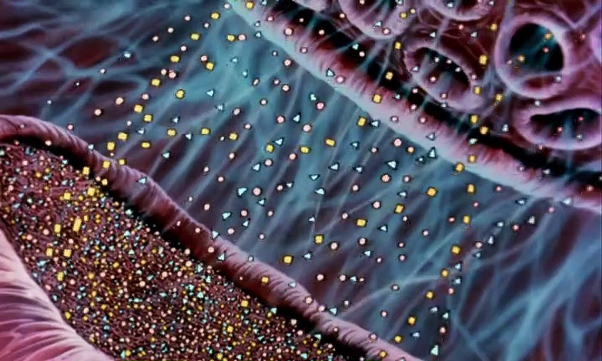 Es war einmal … das Leben Staffel 1 Folge 10 HD Deutsch