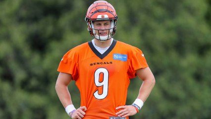 Bengals Apply To Have Sports Betting At Their Stadium