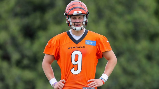 Bengals Apply To Have Sports Betting At Their Stadium
