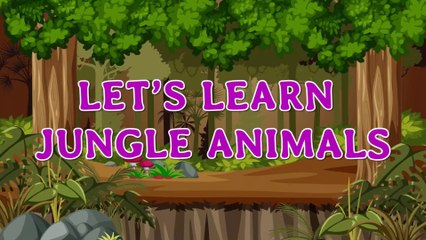Let’s Learn Jungle Animals - Fun Learning Activities for Kids