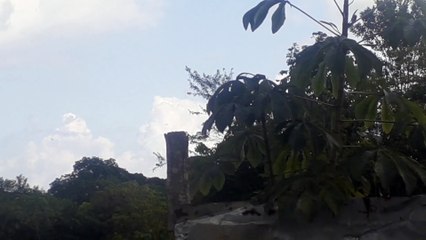 Airbus A330 PR-AIV coming from Campinas to Manaus