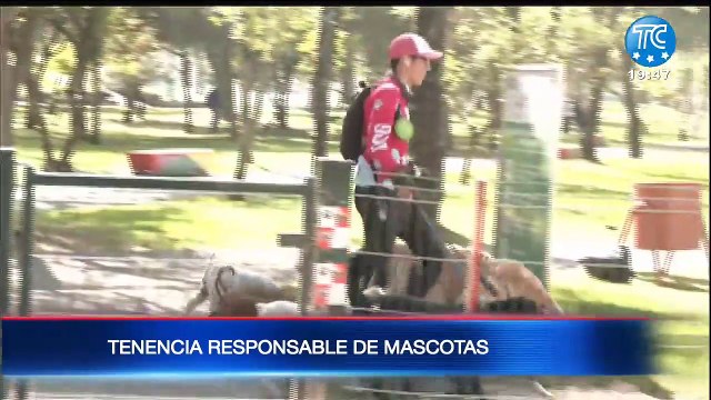 ¿Cuáles son los deberes y obligaciones de los dueños con las mascotas?
