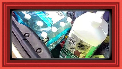 Coming home from grocery shopping l putting food away l Powerdirector.compressed