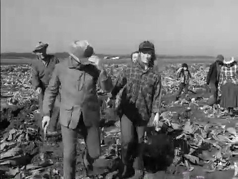 El Fugitivo - Temporada 3 Capitulo 24 - Título: Viento salvaje