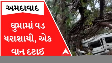 Ahmedabad: ઘુમામાં રસ્તા વચ્ચો વચ ધરાશાયી થયું વડનું વૃક્ષ, નીચે ઊભેલી વાનનો બોલાયો ભુક્કો
