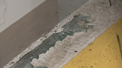 집행유예 기간에 LH 임대아파트 '부실 재도장'...준공 무사통과 / YTN