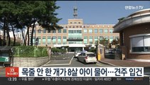 목줄 안 한 개가 8살 아이 물어…견주 입건