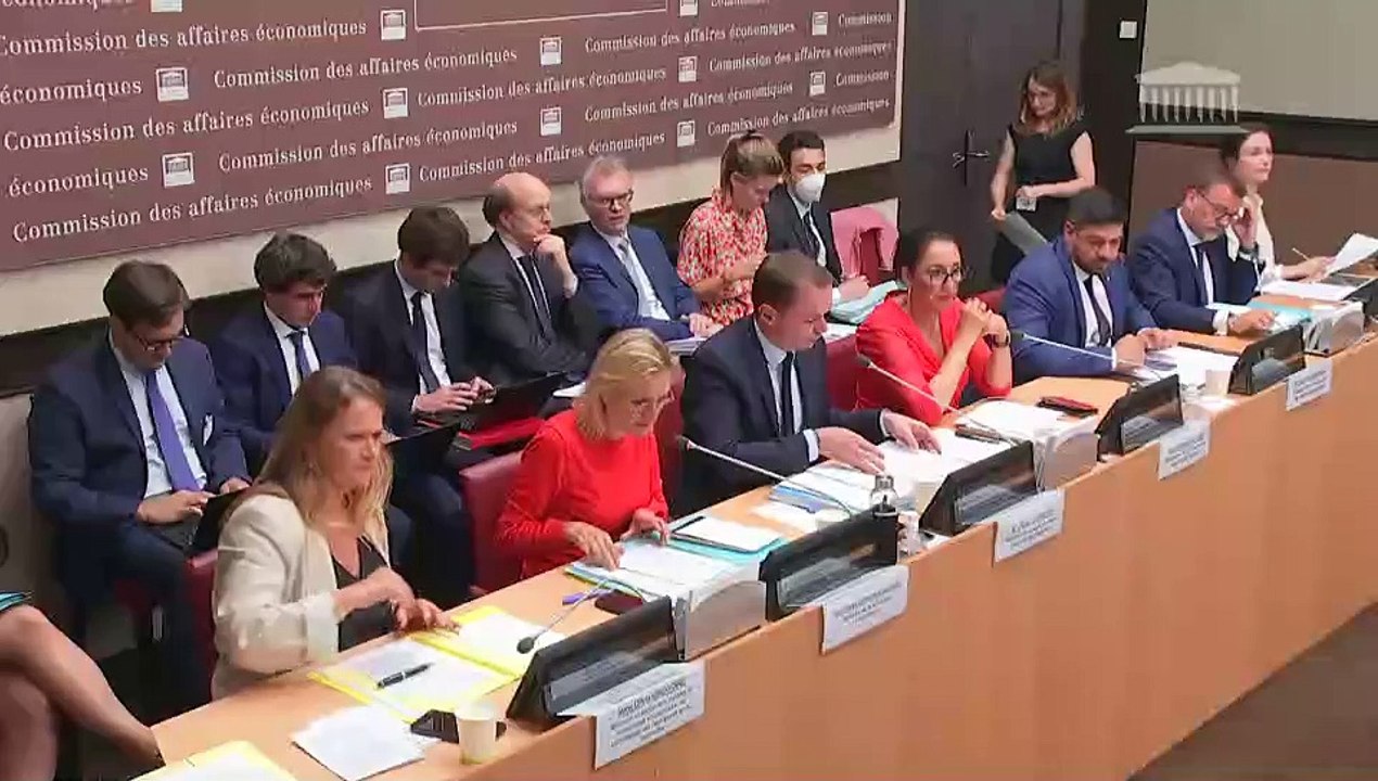 Commission des affaires économiques et commission des affaires sociales : M. Olivier Dussopt, Mme Agnès Pannier Runacher et Mme Olivia Grégoire, ministres, sur les mesures d’urgence pour la protection du pouvoir d’achat - Lundi 11 juillet 2022