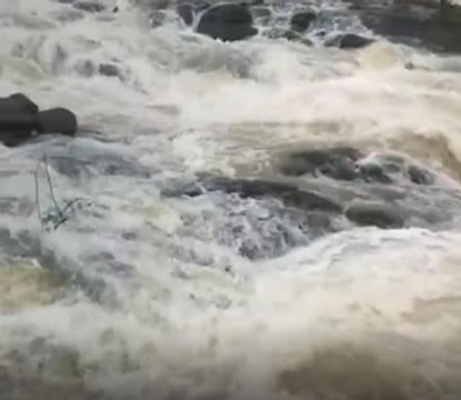 Rain Updates: Gujarat badly in the grip of floods | ABP News