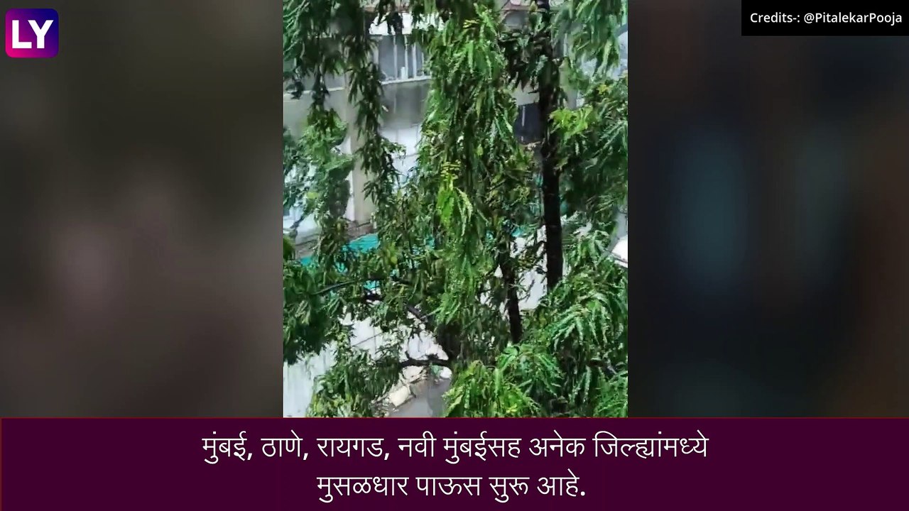 Mumbai Rains: मुंबई मध्ये वाढला पावसाचा जोर, सखल भागात पाणी साचल्याने रस्ते वाहतुकीचा वेग मंदावला