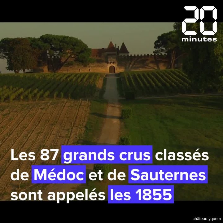 Bordeaux : Yquem, Margaux... C'est quoi au juste le classement des grands crus 1855 ?