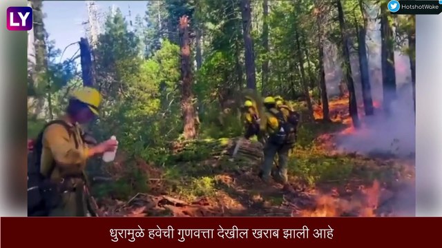 California Wildfires - कॅलिफोर्नियात मैरिपोसा येथे लागली आग, 3,000 वर्षे जुने Giant Redwood Trees धोक्यात