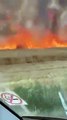 Crops in Ripon on fire as heatwave grips UK