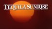 TEQUILA SUNRISE (1988) Trailer VO - HQ