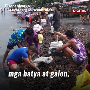 Unli-tahong sa Negros Occidental, itinuturing na biyaya ng dagat | GMA News Feed