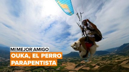 ¿Habías visto alguna vez un perro volador?