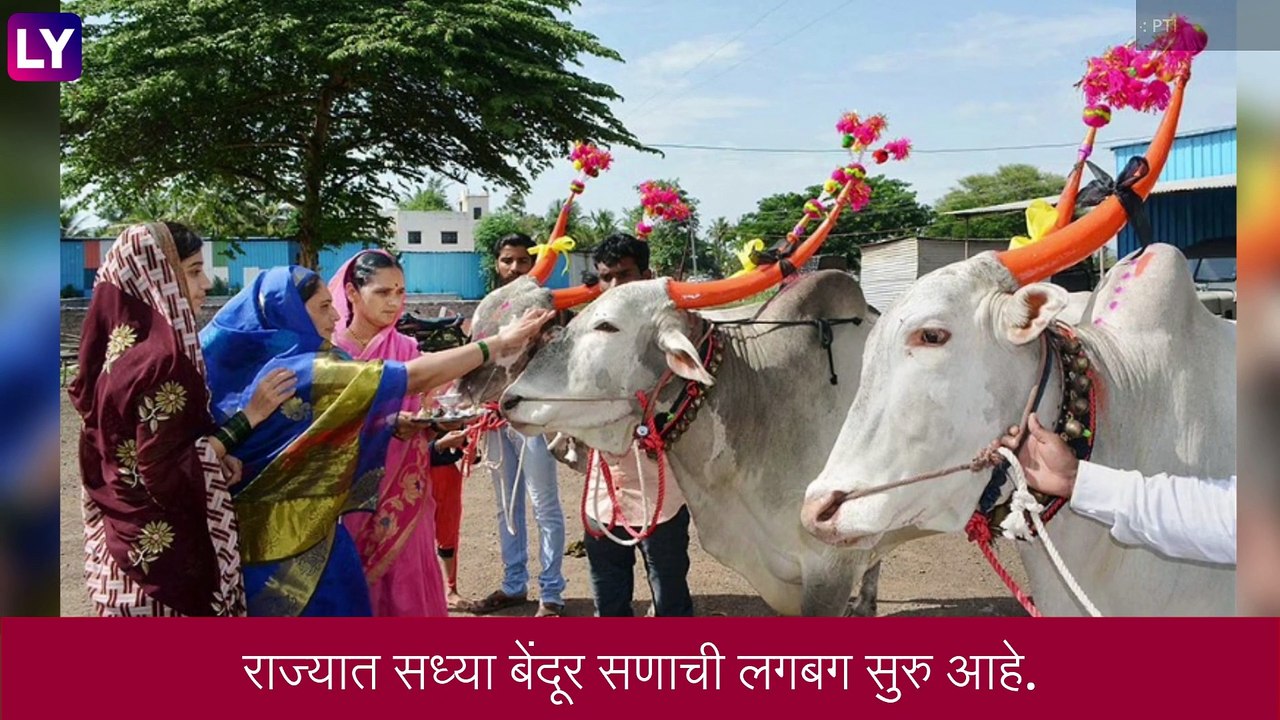 Maharashtra Bendur:काय आहे बेंदूर सण? जाणून घ्या महाराष्ट्रातील या अनोख्या सणाचं महत्व