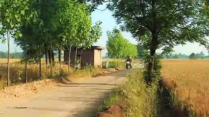 Teri Galli (Official Video) ,Sajjan Adeeb, Divya Bhatt , Manwinder Maan , New Punjabi Songs