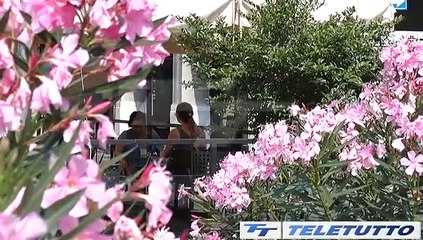 Video News - NUOVA ONDATA DI CALDO