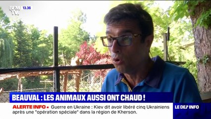 Zoo de Beauval: comment protéger les animaux de la vague de chaleur ?