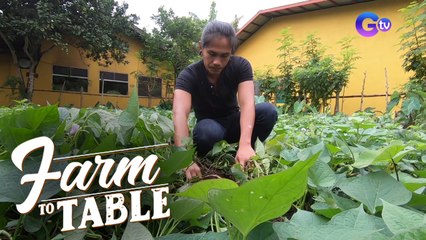 Farm to Table: Learning gardening tips with Chef JR Royol