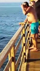 Una bañista atacada por un tiburón