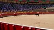 Toros en Familia en la plaza de toros