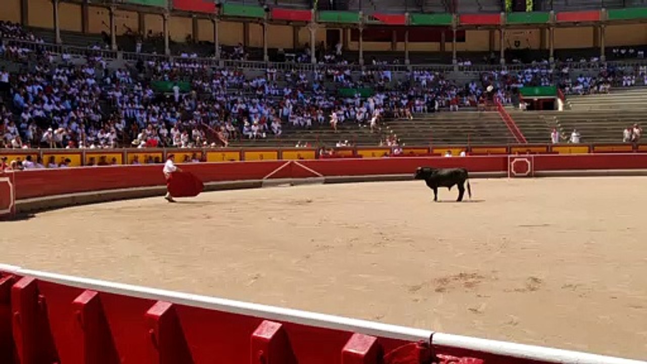 Toros en Familia en la plaza de toros