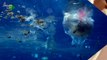 This Robo-Fish Could Save the Planet By Eating Microplastics in the Ocean