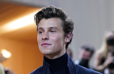 Shawn Mendes is ‘getting help’ after postponing shows for his mental health