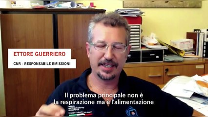 Livelli di diossine alti dopo gli incendi a Roma: gli effetti sull'uomo e i pericoli