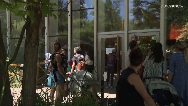 Ζυρίχη: Δύο ελέφαντες νεκροί από ερπητοϊό