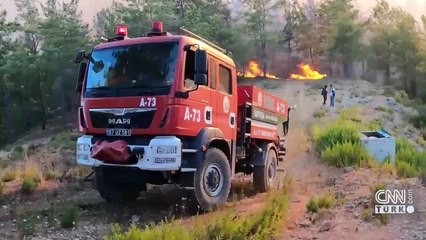 Marmaris yangını yaban hayatı vurdu