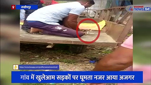 क्या हुआ जब गांव वालों को मिला 30 फीट लंबा अजगर, देखें वीडियो