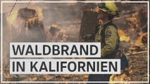 USA: Waldbrand bedroht Mammutbäume