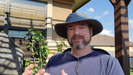 Signs Pointing to God, Matthew 16:1-12