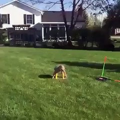Cette fillette tente de faire du hula hoop et c'est top mignon
