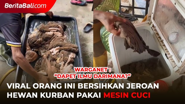 Viral, Orang Ini Bersihkan Jeroan Hewan Kurban Pakai Mesin Cuci