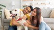 5 ways to pay less and keep your pet happy as the cost of living rises