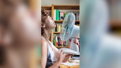 Canicule : voici comment rafraîchir sa maison