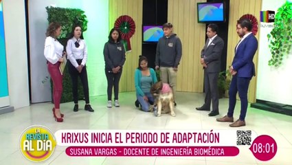 Krixus, el perro que usa una prótesis