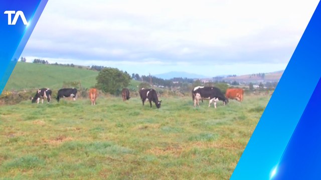 Ganaderos y agricultores se recuperan tras el paro