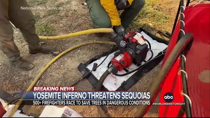 World News Tonight with David Muir July 11, 2022 [Full Episode]