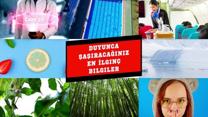 Duyduğunuzda Şaşıracağınız İlginç Bilgiler 