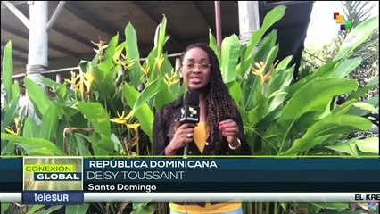 En Haití, asciende a más de 50 la cifra de fallecidos por los enfrentamientos de pandillas armadas