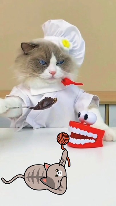 funny video clips  funny video clips indian  funny video clips 2022 funny cats funny cat video funny video cats,funny cat videos funny dog video funny video compilation funny cats videos funny videos funny animal