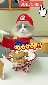 funny video clips funny video clips indian funny video clips 2022 funny cats funny cat video funny video cats,funny cat videos funny dog video funny video compilation funny cats videos