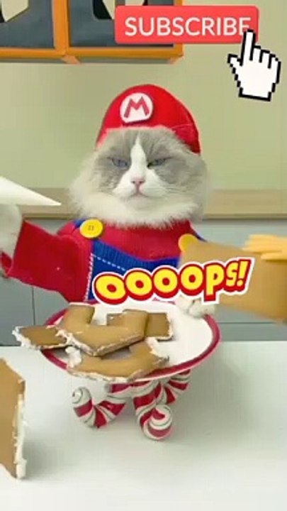 funny video clips  funny video clips indian  funny video clips 2022 funny cats funny cat video funny video cats,funny cat videos funny dog video funny video compilation funny cats videos