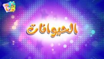 marah tv - قناة مرح- أغنية الدعسوقة ومجموعة اغاني الاطفال