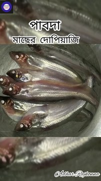 1.9 M views পাবদা মাছের রেসিপি পাবদা মাছের দোপিয়াজি